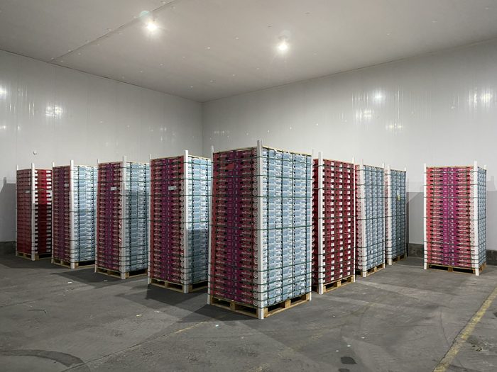 Exportación NeoFresh